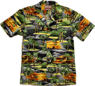Vintage Men's Hawaiian Shirt - Small