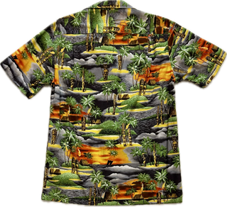 Vintage Men's Hawaiian Shirt - Small
